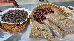 Giá cà phê hôm nay 15-7: Bùng nổ, tăng vọt "như mơ"