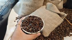 Giá cà phê hôm nay 18-7: Lao dốc, thị trường trồi sụt thất thường
