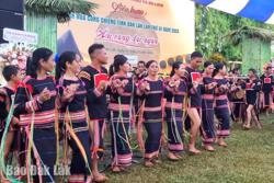 Quy định mức chi tổ chức các hoạt động văn hóa, văn nghệ trên địa bàn tỉnh