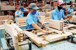 Đảm bảo quyền an sinh cho lao động tự do