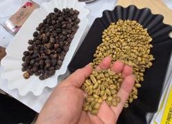 Giá cà phê hôm nay 2-7: Tăng lại nhưng thời hoàng kim đã qua