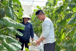 Phụ phẩm nông nghiệp: Làm sao khai thác hiệu quả?