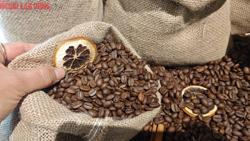 Giá cà phê hôm nay 23-7: Bất ngờ bật tăng 3 con số