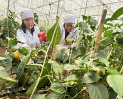 Thu hút thí sinh vào ngành nông - lâm - thủy sản