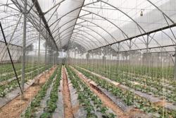 Xây dựng nông thôn mới: Theo hướng hiện đại và giảm nghèo bền vững