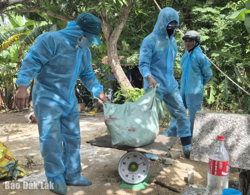 Nhanh chóng khống chế, không để dịch bệnh tả heo Châu Phi lây lan