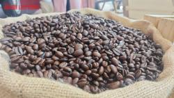 Giá cà phê hôm nay (3-7): Robusta giảm, xuất khẩu sang Mỹ tăng vọt trước giờ G