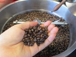 Giá cà phê hôm nay 30-7: Robusta thoát hiểm