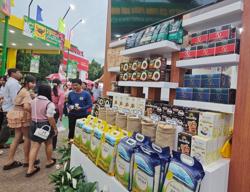 Xuất khẩu nông sản rối bời với thuế GTGT