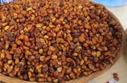 Giá cà phê hôm nay 31-7: Diễn biến trái ngược, “nín thở” chờ tin nóng