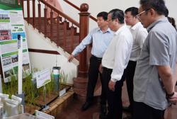 Đề xuất thí điểm 15 vùng trồng trọt phát thải thấp, giá bán tăng từ 10% - 25%