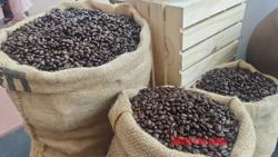 Giá cà phê hôm nay 4-7: Robusta tăng, Arabica giảm, Việt Nam xuất khẩu lập kỷ lục khó tin