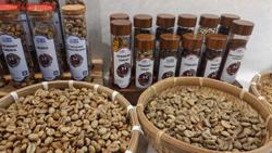 Giá cà phê hôm nay 7-7: Đã nên xả kho?