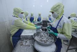 Hướng tới xuất khẩu tinh chứ không xuất khẩu thô