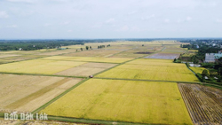 Ea Kly vững bước xây dựng nông thôn mới nâng cao