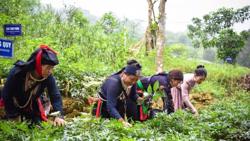 Chính sách nông nghiệp và môi trường có hiệu lực từ 1/8