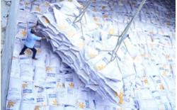 Xuất khẩu nông sản Việt sang châu Âu tăng rất mạnh