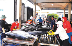 Cần những mục tiêu đột phá cho nông nghiệp chủ lực