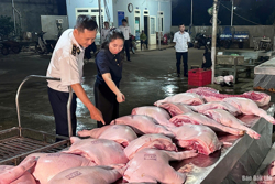 Kiểm tra đột xuất hoạt động giết mổ gia súc tại một cơ sở