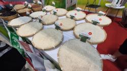 Giá gạo Việt Nam mạnh mẽ chưa từng thấy, điều gì đang xảy ra?