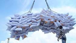 Gạo Việt vươn ngôi Á quân thế giới