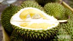 'Tấm vé vàng' cho nông sản Việt: [Bài 2] Trung Quốc không còn là thị trường dễ tính