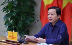 Phó Thủ tướng yêu cầu kiểm tra lò mổ, xem xét xử lý hình sự bán và thả heo bệnh