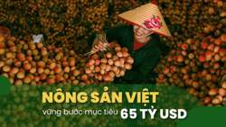 Nông sản Việt vững bước mục tiêu 65 tỷ USD: Xuất khẩu rau quả hướng tới mốc 8 tỷ USD
