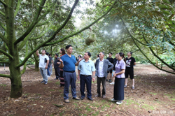 Xã Ea Knuếc: Kết nối tiêu thụ sầu riêng và nông sản