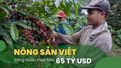 Nông sản Việt vững bước mục tiêu 65 tỷ USD: Cà phê tăng tốc nhờ lợi thế FTA