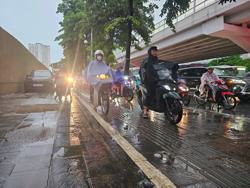 Áp thấp nhiệt đới giật cấp 8 trên đất liền Quảng Ninh, nhiều nơi ở Bắc Bộ mưa to