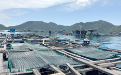 Hòa Xuân tăng cường quản lý đất đai, nuôi trồng thủy sản