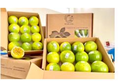 Xuất khẩu rau quả sang EU tăng hơn 40%