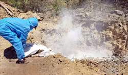 Đắk Lắk tiêu hủy 1.300 con lợn mắc dịch tả lợn Châu Phi