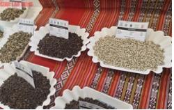 Giá tiêu hôm nay 20-8 nóng trở lại, Đắk Lắk có "vua xuất khẩu hồ tiêu"