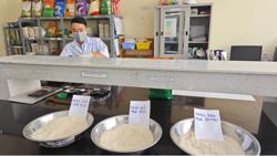 Nâng tầm hạt gạo Việt