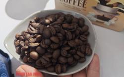 Giá cà phê hôm nay 25-8: Dự báo quan trọng