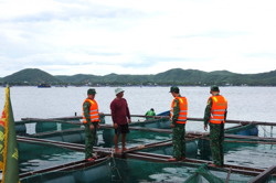 Đắk Lắk chủ động ứng phó với ảnh hưởng bão số 5