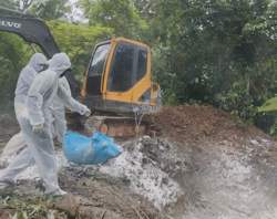 Đắk Lắk lập 4 chốt kiểm dịch phòng, chống dịch tả lợn Châu Phi