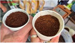 Giá cà phê hôm nay 26-8: Sụt giảm, kho cà phê cạn kiệt