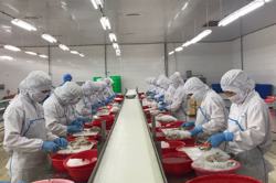 Tranh thủ thời cơ mở rộng thị trường