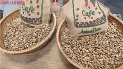 Giá cà phê hôm nay 28-8: Khó tin, Robusta tăng mạnh phiên thứ 6 liên tiếp