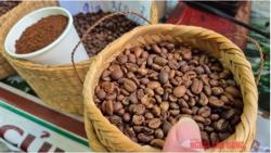 Giá cà phê hôm nay 29-8: Mạch tăng giá bị cắt, Mỹ trồng cà phê