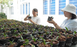 Thu hút đầu tư 9 dự án nông nghiệp công nghệ cao