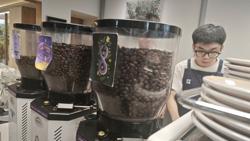 Giá cà phê hôm nay 30-8: Quay lại đà tăng