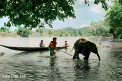 Con voi và những di sản văn hóa của dân tộc M’nông