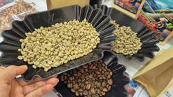 Giá cà phê hôm nay 4-8: Giá trong nước cao hơn thế giới 13.000 đồng/kg