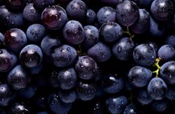 Điều gì xảy ra nếu bạn thường xuyên ăn quả nho?