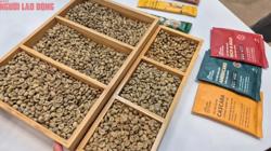 Giá cà phê hôm nay 6-8: Biến động trái chiều, mối lo của cà phê Việt