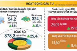 Trong 7 tháng năm 2025, số doanh nghiệp gia nhập thị trường tăng 22,9%
